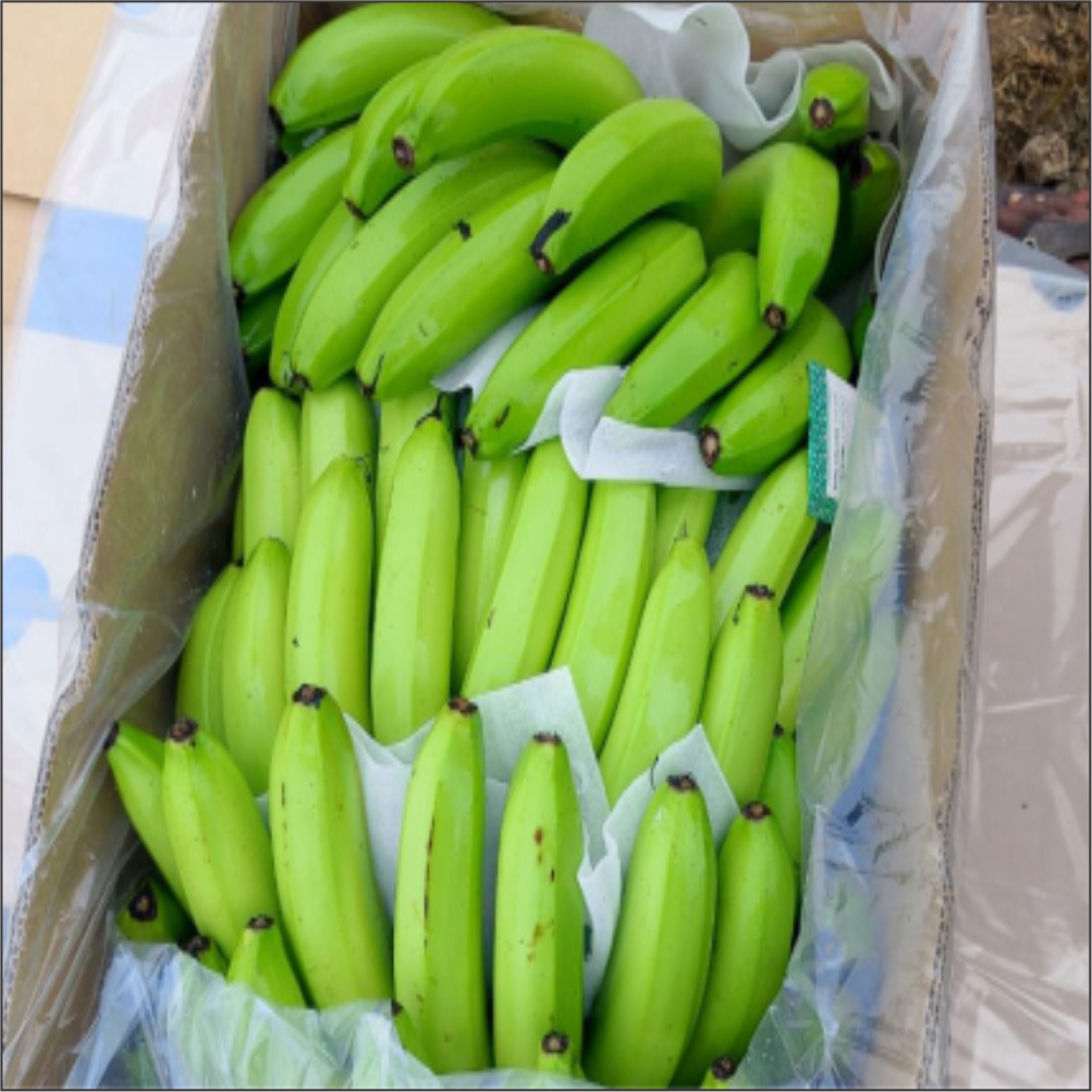 Wintry Mountain Landscape