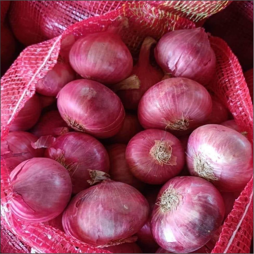 Yosemite National Park