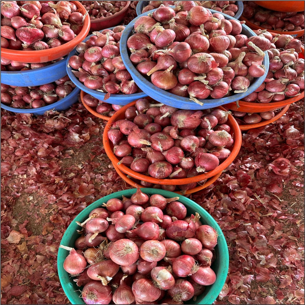 Wintry Mountain Landscape