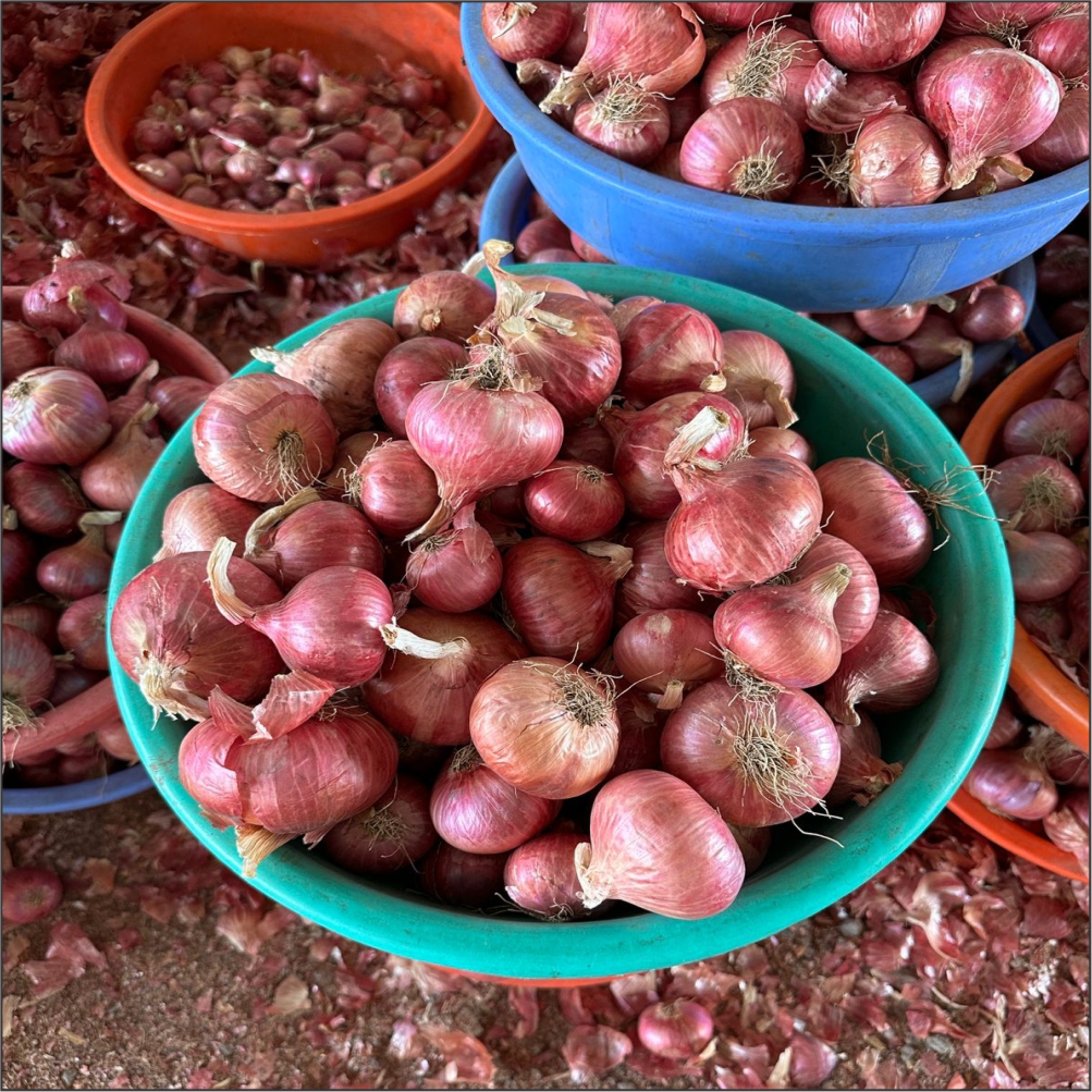 Mountains in the Clouds